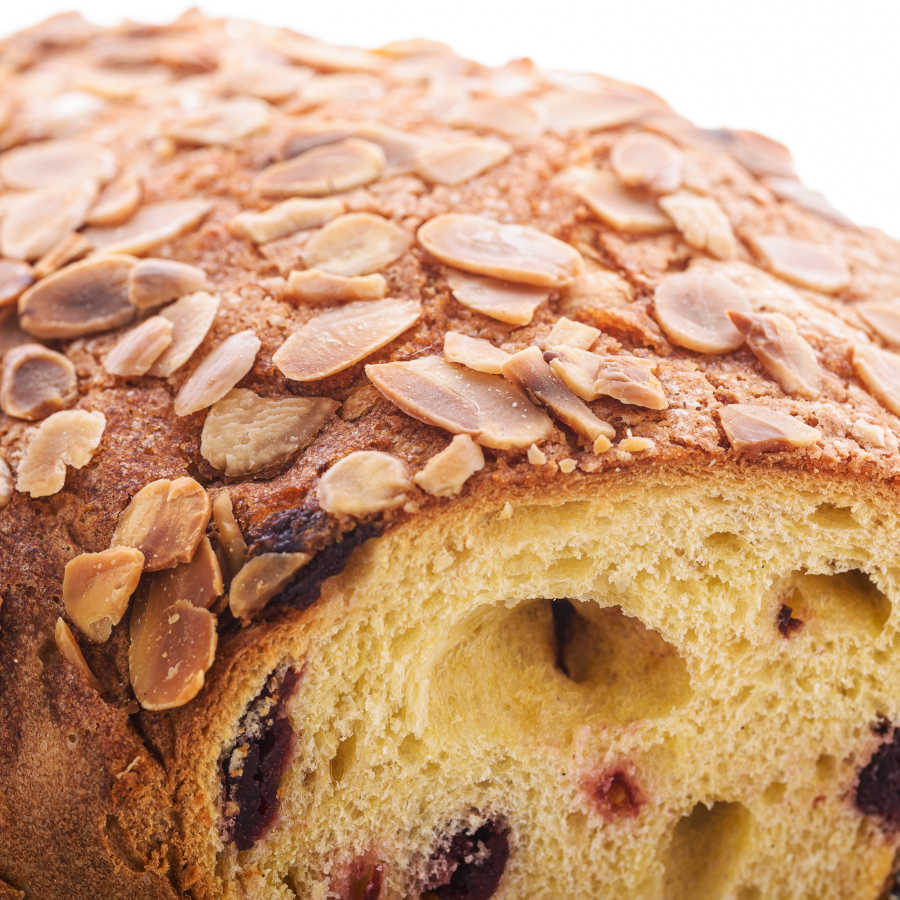 Damigella – Colomba artigianale con Visciole 750g - immagine 6
